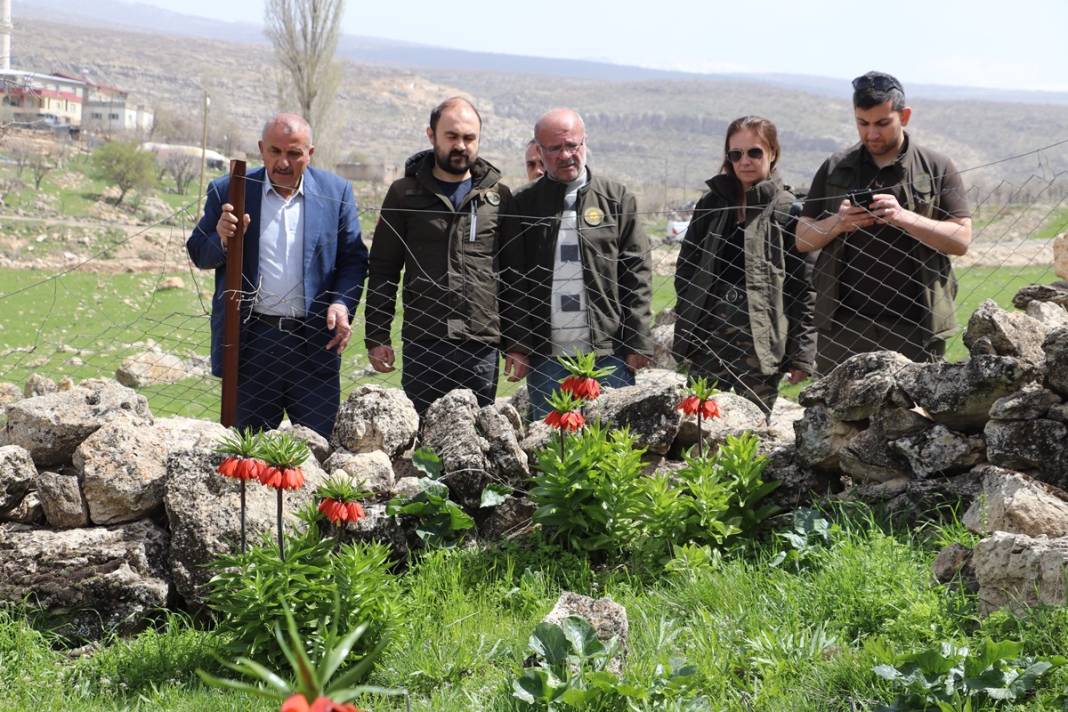 Bu insanlar neye bakıyor? Gece-gündüz nöbet tutuyorlar, ilk kez görenler şaştı kaldı! 7